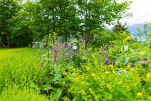 Garten (12)