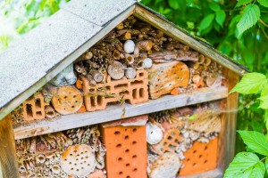 Garten (14)