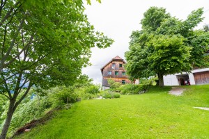 Garten (15)