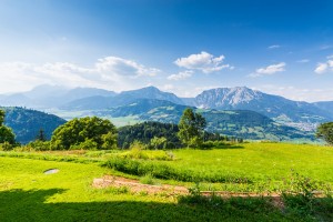 Garten (16)