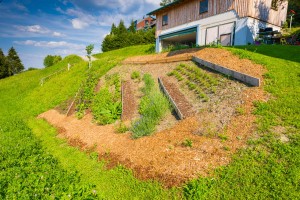 Garten (17)