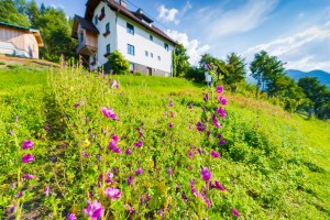 Garten (18)