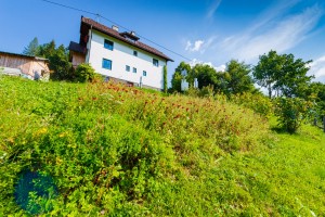 Garten (19)