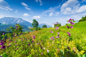 Garten (21)