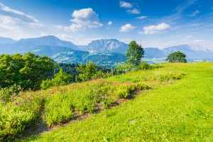 Garten (23)
