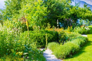 Garten (5)