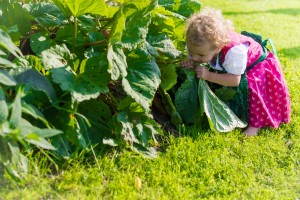Garten (7)