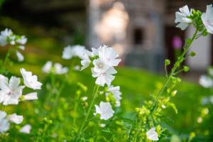 familie-percht©DS-53