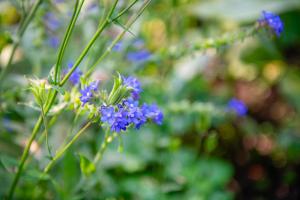 familie-percht©DS-63
