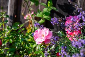 familie-percht©DS-81